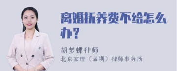 离婚抚养费不给怎么办？