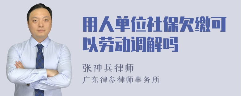 用人单位社保欠缴可以劳动调解吗