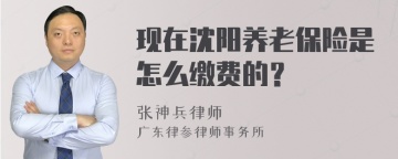 现在沈阳养老保险是怎么缴费的？