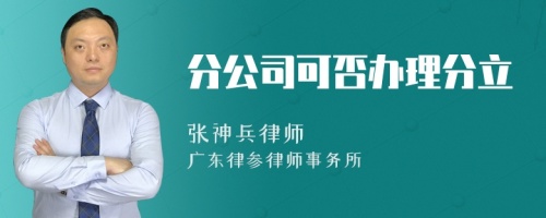 分公司可否办理分立