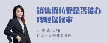 销售假药罪是否能办理取保候审