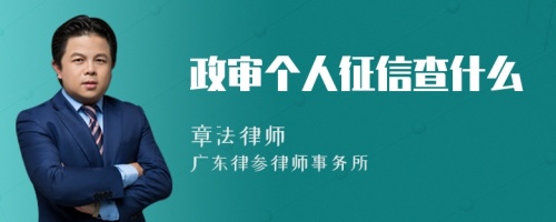 政审个人征信查什么