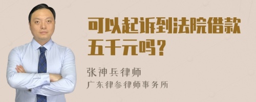 可以起诉到法院借款五千元吗？