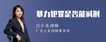 暴力犯罪是否能减刑