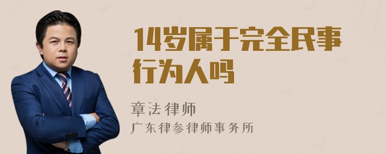 14岁属于完全民事行为人吗