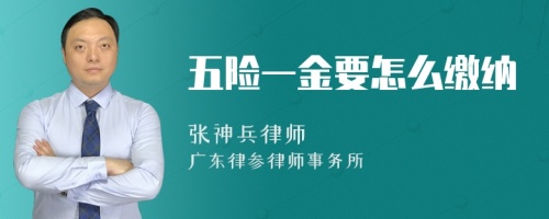 五险一金要怎么缴纳