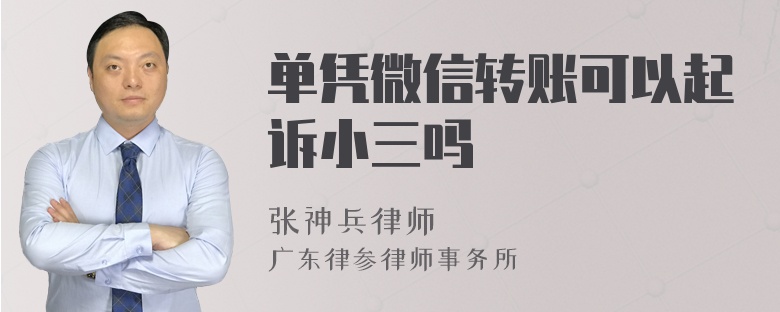单凭微信转账可以起诉小三吗