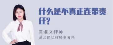 什么是不真正连带责任?