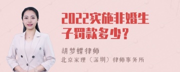 2022实施非婚生子罚款多少？