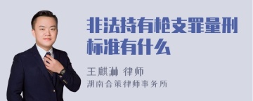 非法持有枪支罪量刑标准有什么