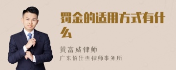 罚金的适用方式有什么