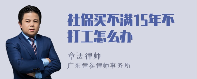 社保买不满15年不打工怎么办