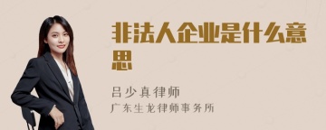 非法人企业是什么意思