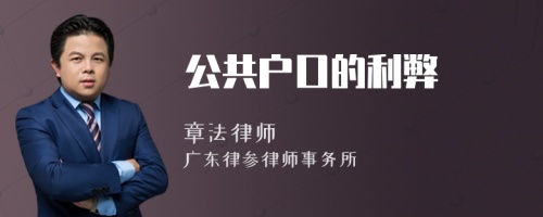 公共户口的利弊