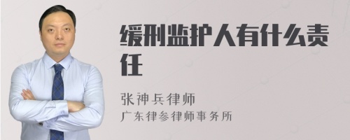 缓刑监护人有什么责任