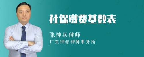 社保缴费基数表