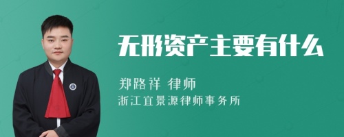 无形资产主要有什么