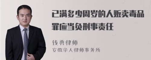 已满多少周岁的人贩卖毒品罪应当负刑事责任