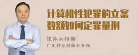 计算机性犯罪的立案数额如何定罪量刑