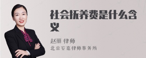 社会抚养费是什么含义