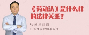 《劳动法》是什么样的法律关系？