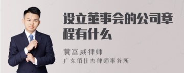 设立董事会的公司章程有什么