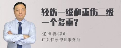 轻伤一级和重伤二级一个多重?