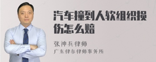 汽车撞到人软组织损伤怎么赔