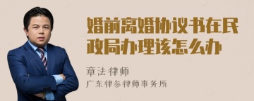 婚前离婚协议书在民政局办理该怎么办