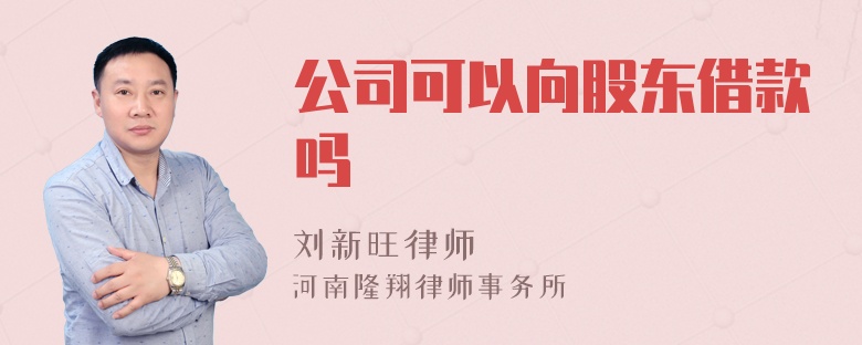 公司可以向股东借款吗