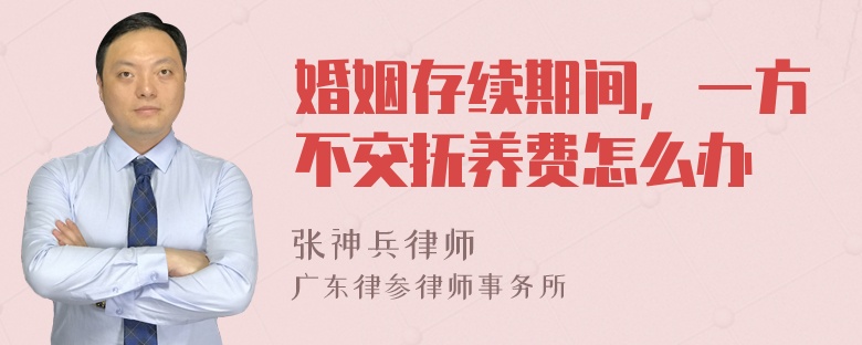 婚姻存续期间，一方不交抚养费怎么办