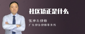 社区矫正是什么