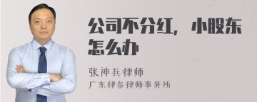 公司不分红，小股东怎么办