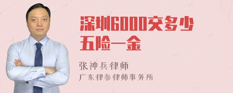 深圳6000交多少五险一金