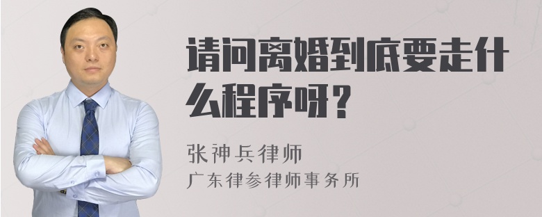 请问离婚到底要走什么程序呀？