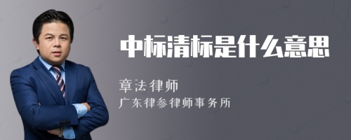 中标清标是什么意思