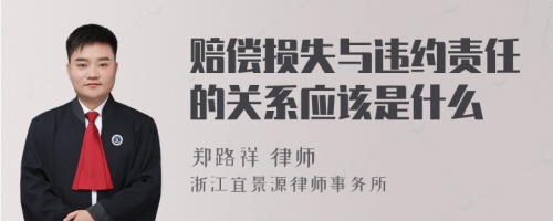 赔偿损失与违约责任的关系应该是什么