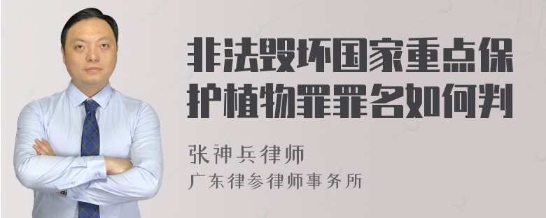 非法毁坏国家重点保护植物罪罪名如何判