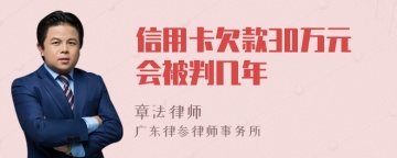 信用卡欠款30万元会被判几年