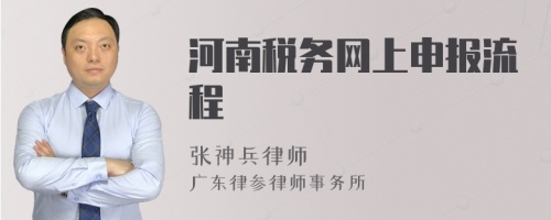 河南税务网上申报流程