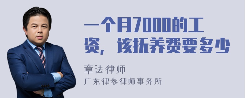 一个月7000的工资，该抚养费要多少