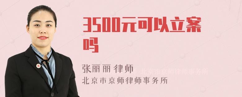 3500元可以立案吗