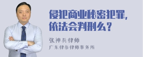 侵犯商业秘密犯罪，依法会判刑么？