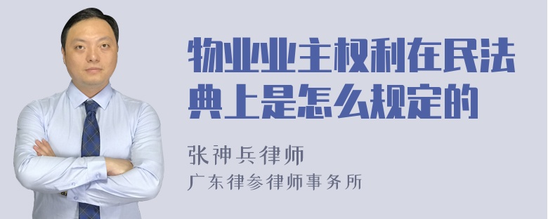 物业业主权利在民法典上是怎么规定的