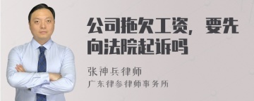 公司拖欠工资，要先向法院起诉吗