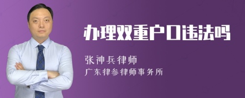 办理双重户口违法吗