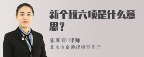 新个税六项是什么意思？