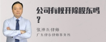 公司有权开除股东吗？