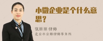 小微企业是个什么意思？