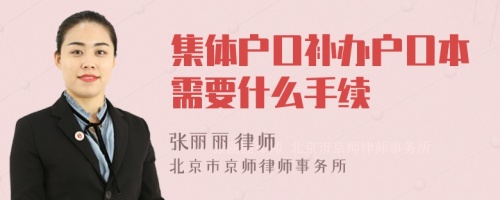 集体户口补办户口本需要什么手续